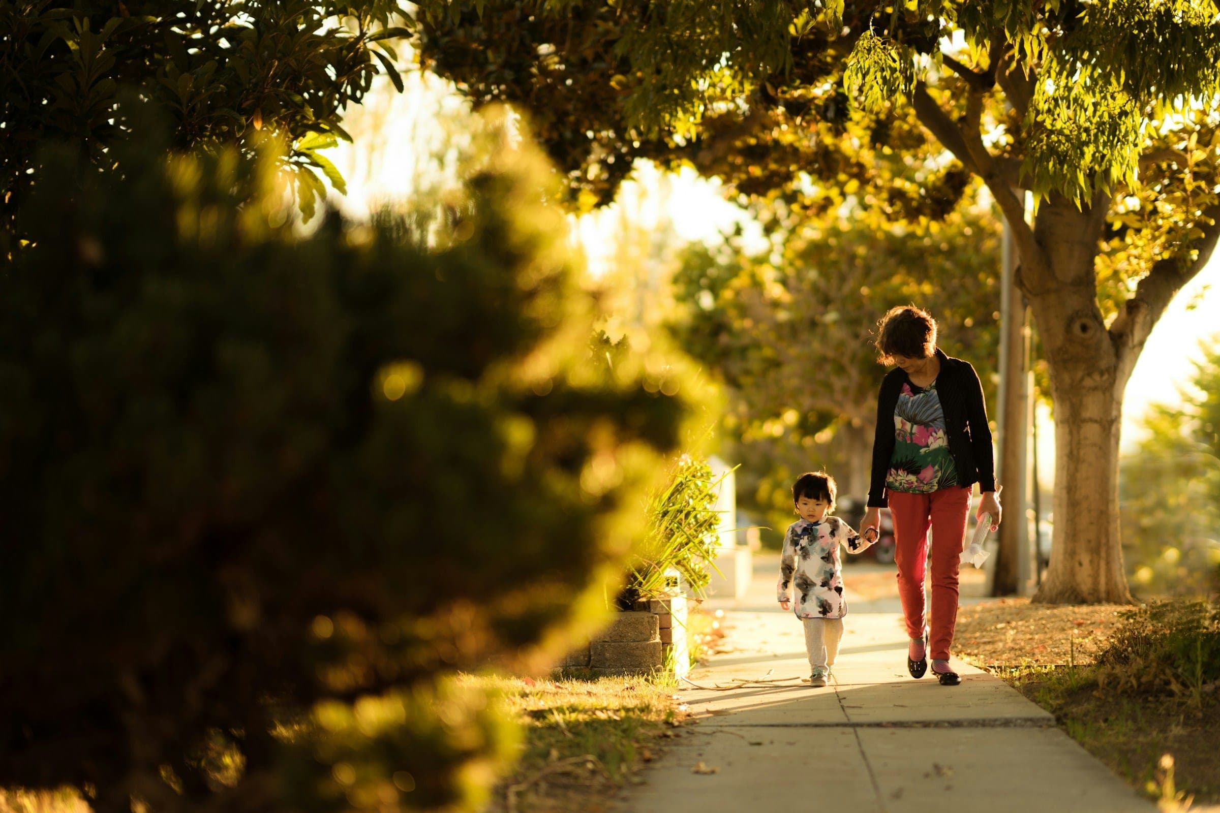 An adult and a young child walking hand in hand down a sunlit neighborhood sidewalk